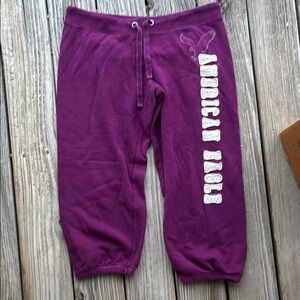 American Eagle Outfitters Purple Sweatpant Capris